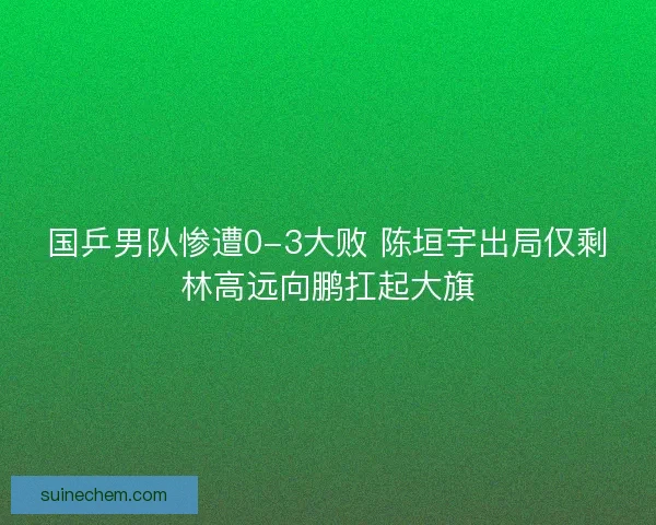 国乒男队惨遭0-3大败 陈垣宇出局仅剩林高远向鹏扛起大旗