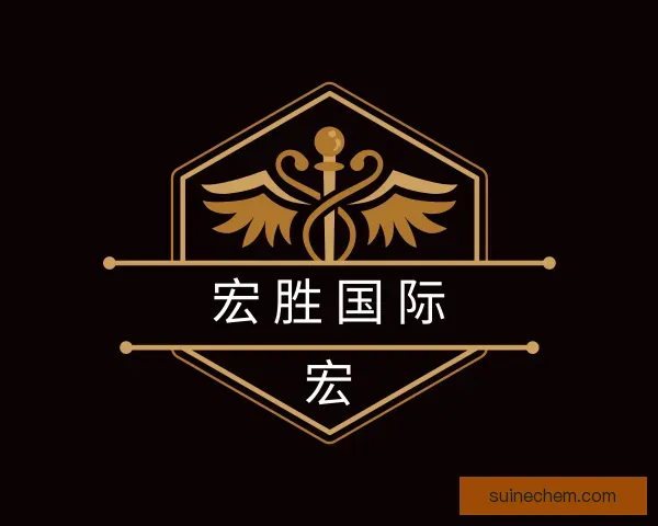 介绍宏胜国际